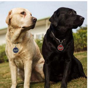 2018 뜨거운 판매 개 또는 고양이 ID 태그 새겨진 또는 QR 코드 애완 동물 태그