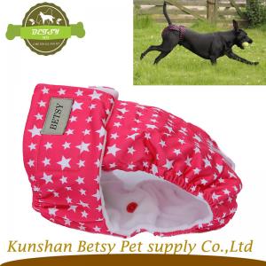 암캐가 시즌 높은 품질 바지