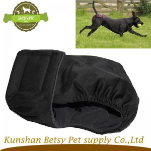 암캐가 시즌 높은 품질 바지