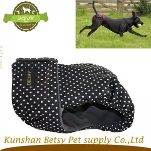 암캐가 시즌 높은 품질 바지