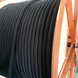 전도 양극 보조