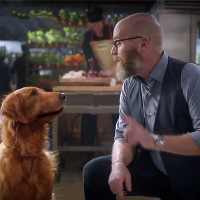 샘은, 누가 역을 공작, 부시 콩 구워 개는 이미 죽었다.