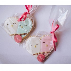 사탕 쿠키에 대 한 OPP CPP PE 자기 접착제 상위 서 리 낀 패키지 플라스틱 씰링 가방