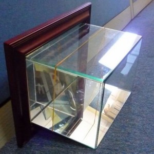 벽걸이 형 축구 디스플레이 케이스