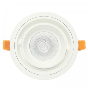 둥근 사각형 모양 LED 천장 조명 COB 20W 30W 빛 아래로 recessed 천장 마운트 빛 주도