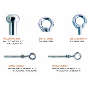 316 단조 DIN580 아이 스크류