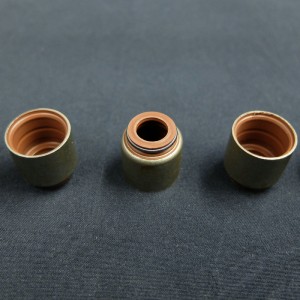 중국 공급 업체 르노 자동차 용 밸브 스템 오일 씰