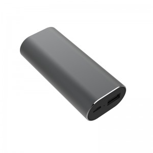 WS-P2 스마트 보이스 트랜스레이터 이어 버드