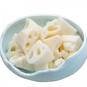 냉동 로터스 뿌리