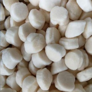 냉동 바다 가리비 고기