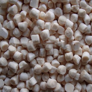 냉동 바다 가리비 고기