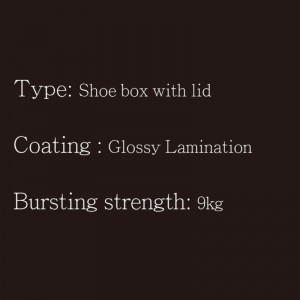 뚜껑 Type2가있는 신발 상자