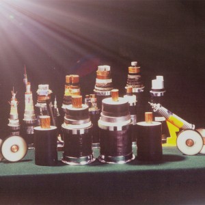 방수 DC 300mm 단일 코어 케이블 여분의 고전압 구리 케이블 220KV