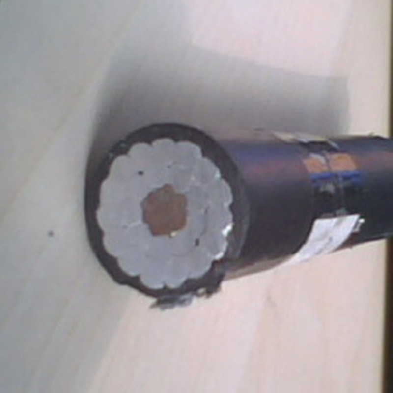 0.6 / 1 kV 알루미늄 케이블 ABC 케이블 95mm 70mm 50mm 35mm