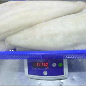 얼어 붙은 가벼운 대서양 새잎 필레