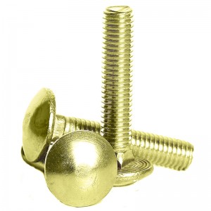 캐리지 볼트 5 학년