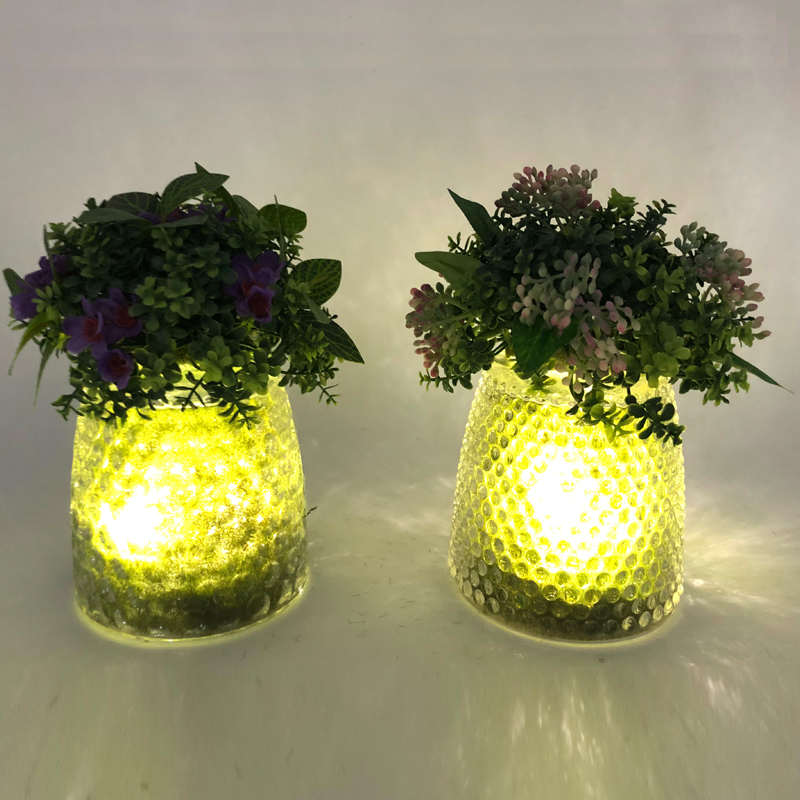 LED가 유리 탁상 장식 인공 즙이 많은 식물 글로브 디스플레이 꽃병과 함께