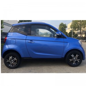 전자 차량, 전자 자동차, 전기 자동차