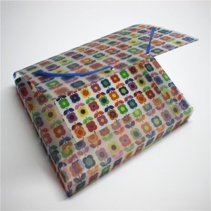 탄력있는 PP 플라스틱 파일 박스 폴더