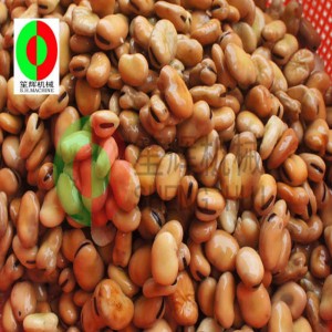 넓은 콩 껍질 벗기는 사람