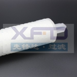 Pleated 필터 카트리지 --- RFG