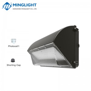 LED 벽 팩 라이트 WPB2 100W