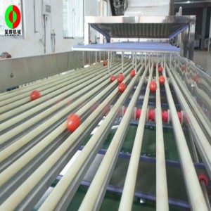 FJ-3000 과일 그레이더