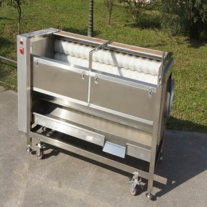 새로운 유형 QX-818 과일 클리너 / 과일 필링 기계 / 과일 브러시 필링 기계 청소