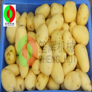 멜론 과일 기계 / 멜론 과일 청소 필링 기계 / 멜론 과일 브러시 청소 필링 기계 QX - 612 새로운 청소