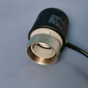 CDZ20.1 ... 시리즈 전동 액추에이터