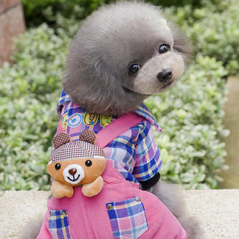 개는 매일 얼마나 먹어야합니까?