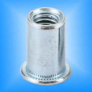 플랫 헤드 라운드 바디