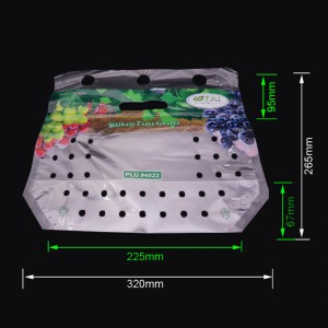배기구를 가진 Eco 친구에 의하여 인쇄되는 플라스틱 포도 과일 지 플락 포장 부대