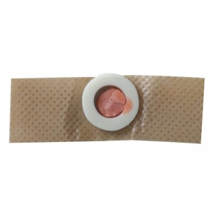 옥수수 구호 석고