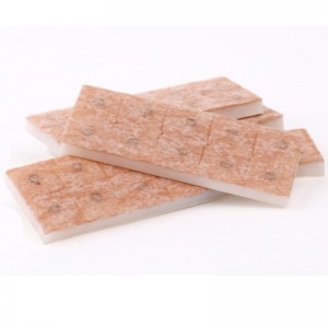 무균 침술 프레스 바늘