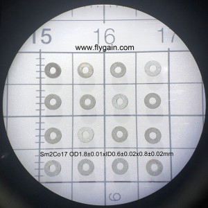 2019 중국 제조업체 마이크로 정밀 소형 SmCo 링 자석