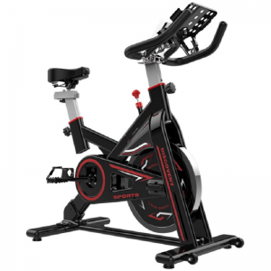 운동 회전 자전거