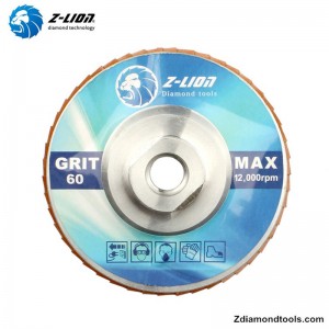 ZL-WMCY02 알루미늄 스레드가있는 5 인치 다이아몬드 연삭 디스크