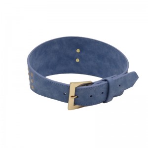 특별한 크기의 개 목걸이