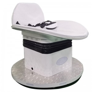 음악 스릴 가상 현실 슬라이드 VR 유리 스키