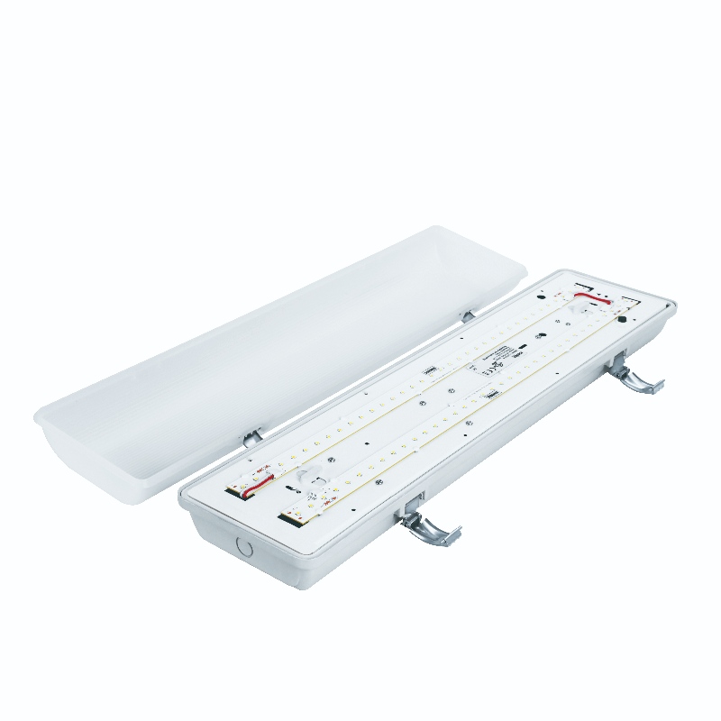 IP65 LED 2FT 4 피트