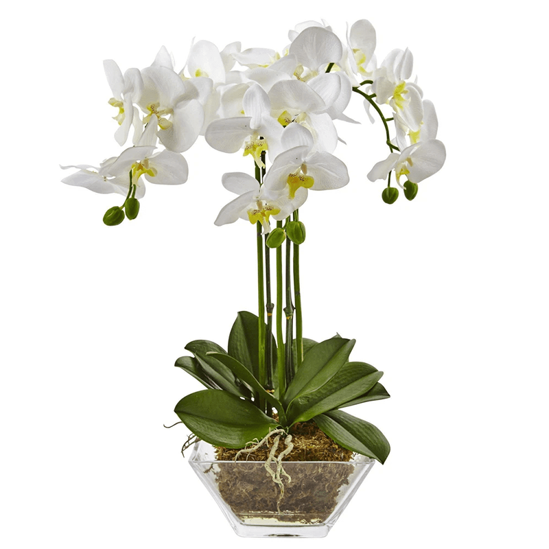 오 하 이오 주 - 20000 원