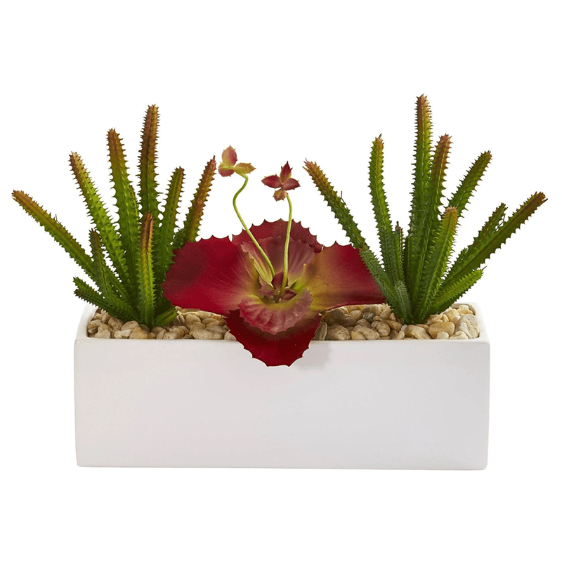 오 하 이오 주 - 2000, 17.