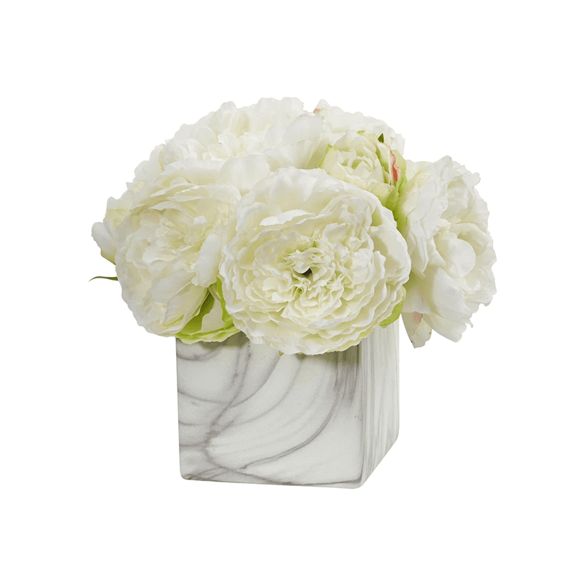 오 하 이오 주 20019