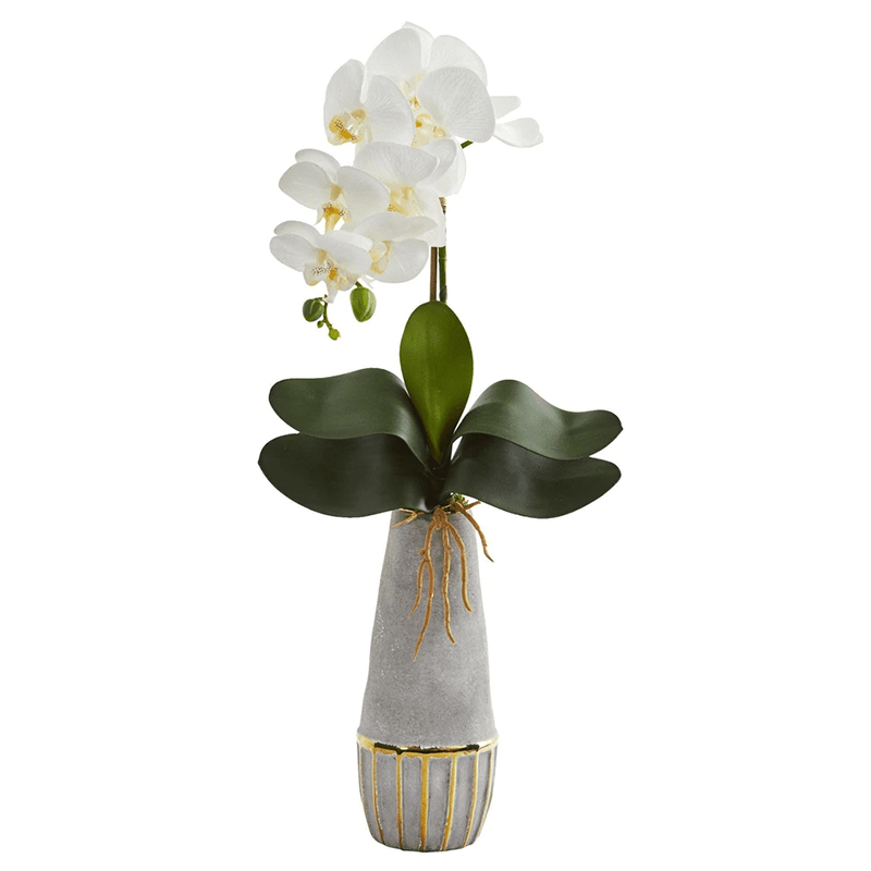 오 하 이오 주 - 2000, 21.