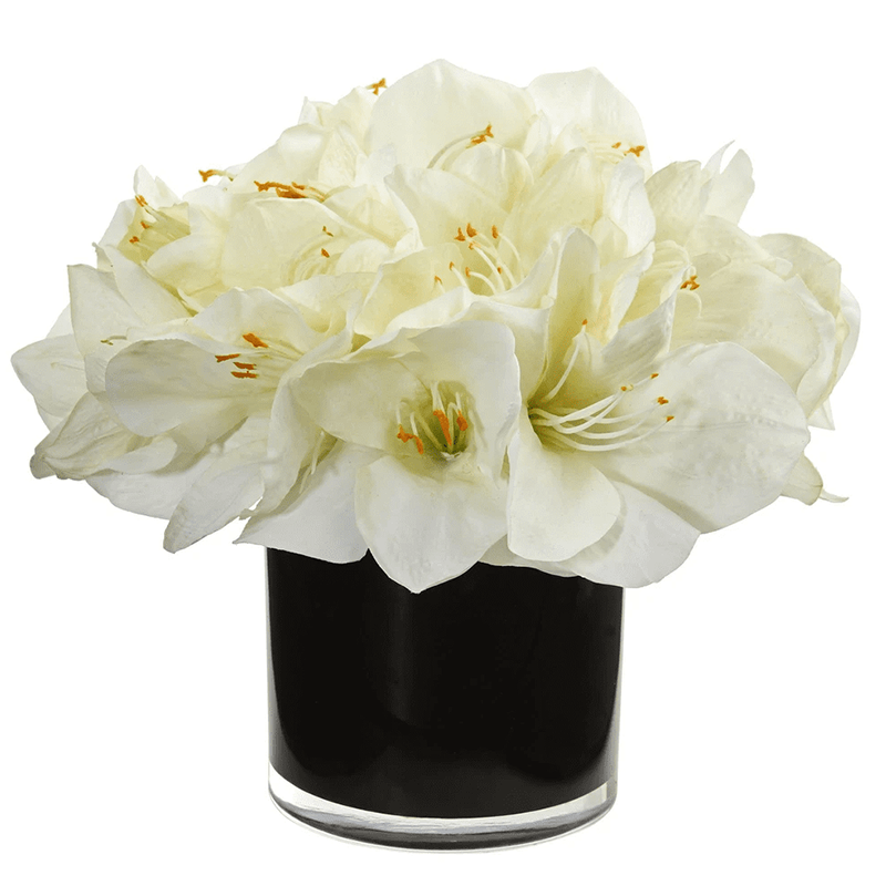 오 하 이오 주 - 20000 22.