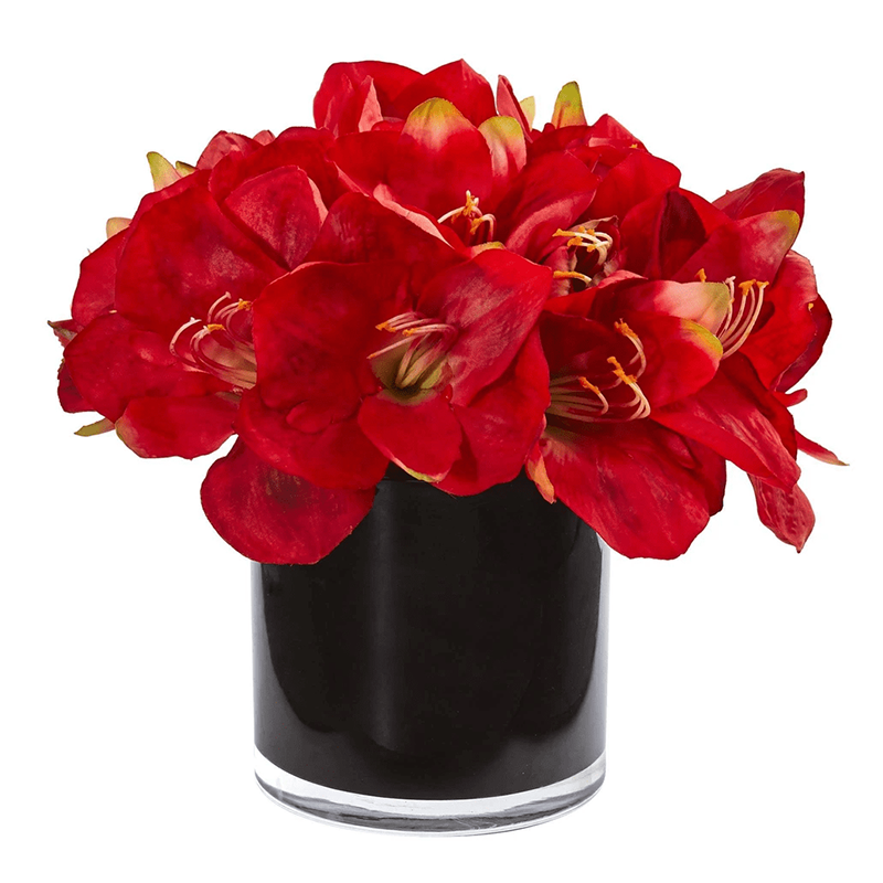 오 하 이오 주 - 20000 22.