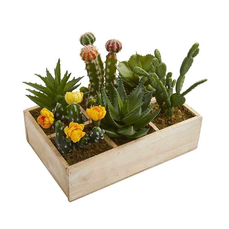 오 하 이오 주 - 20000 24