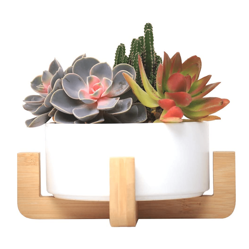 오 하 이오 주. - 20000, 25.