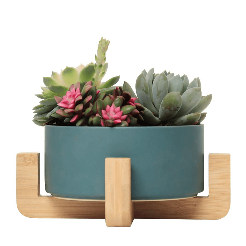 오 하 이오 주. - 20000, 25.